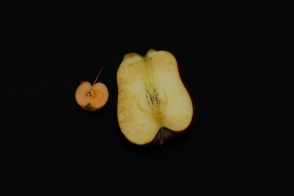 什么品种的苹果好吃