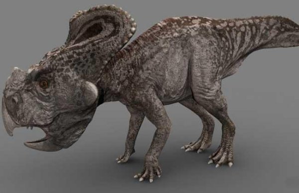 恐龙名称称大全及图片