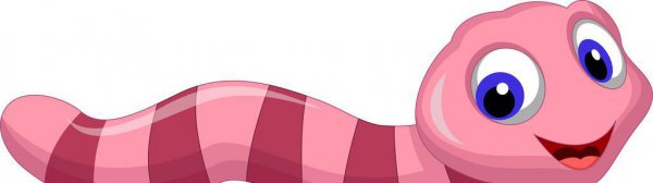 十二生肖的人最贪恋什么东西