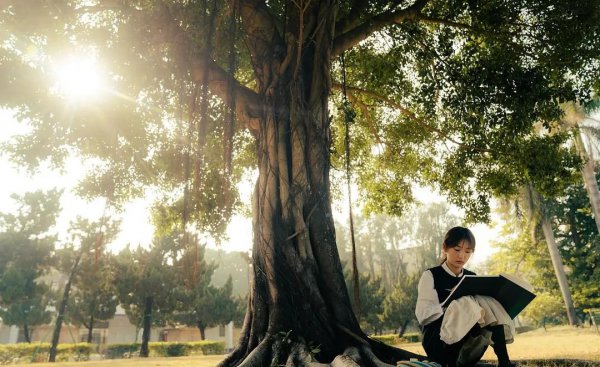 值得看的电视剧排行