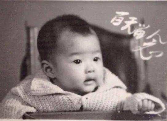 袁立个人资料简介