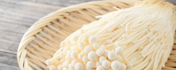 怎样长久保存金针菇不烂