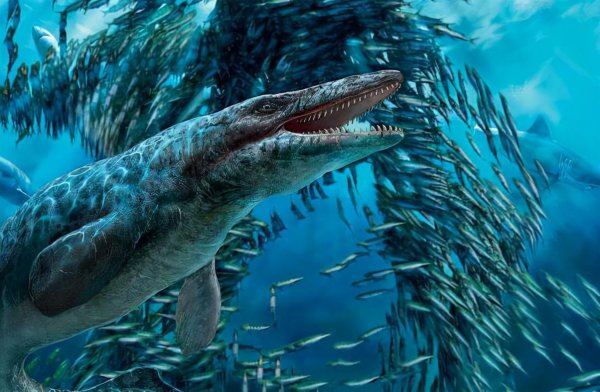 史前最大的海洋生物是什么