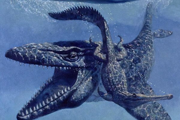 史前最大的海洋生物是什么