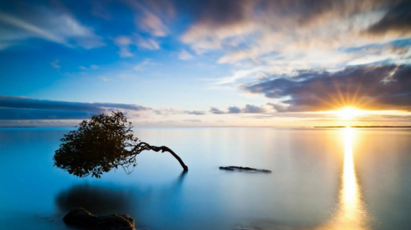 骨子里最冷血的天秤座