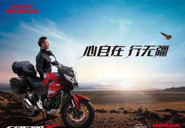 五羊本田和新大洲本田谁的质量最好