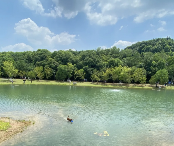 苏州有什么好玩的地方免费