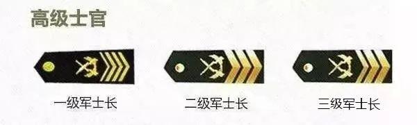 各级士官工资一览表