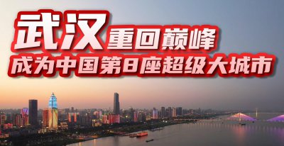 湖北武汉市多少人口 2023年武汉市常住人口数量