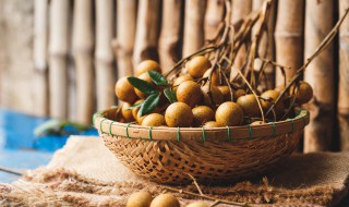 盆栽龙眼冬天怎么养 冬季龙眼树该如何管理