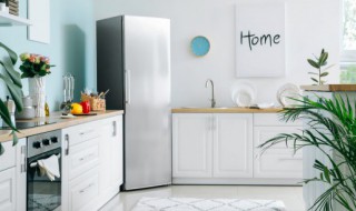 冰箱保鲜室有霜怎么办 冰箱保鲜室有霜如何处理