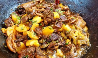 鹅怎么煮好吃 铁锅炖大鹅的做法