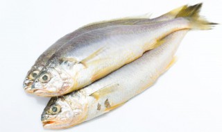 暂时不吃的鱼怎样保存的 鱼腌制一晚上第二天能吃吗