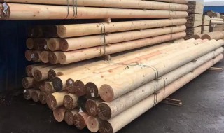 干木头如何保存 干木头谈话死保存