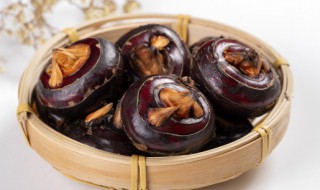 马蹄发黄了还能吃吗 马蹄发黄了还可以吃吗