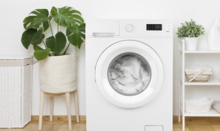 车垫子能用洗衣机洗吗 汽车坐垫可以用洗衣机洗吗