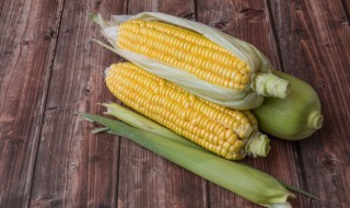 空腹吃玉米好吗 空腹吃玉米好不好