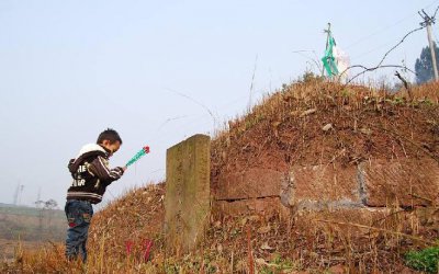 坟墓上开花什么预兆 坟墓上出现什么代表富贵吉祥的寓意