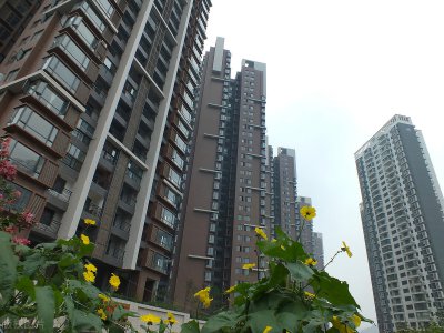 顶楼的房子能买吗 入手顶楼的房子有哪些优缺点