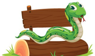 盲蛇怎么养 盲蛇怎样饲养