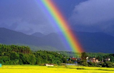 彩虹为什么是彩色的 五彩斑斓的彩虹是怎么形成的