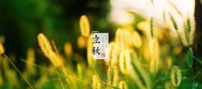 立秋无雨是空秋万物历来一半收 立秋对农作物的影响