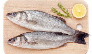 鲈鱼暂时不吃怎么保存才好 鲈鱼如何保存