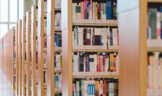 工作996是什么意思 工作996的含义