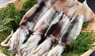 墨鱼哪里不能吃 墨鱼哪些部位不能吃