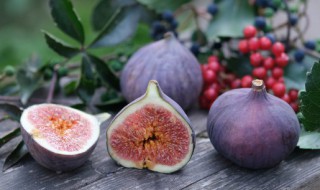 请问吃无花果的禁忌 无花果有哪些食用禁忌呢