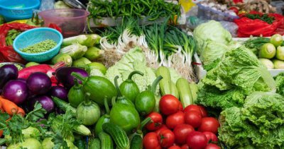 种一次连续多年采收的蔬菜 有懒人种蔬菜一次种有多年收