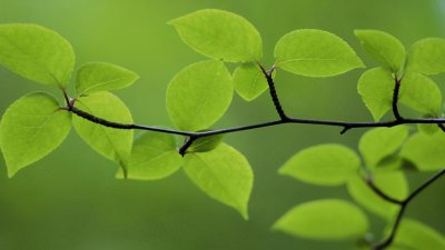 水瓶座专一到可怕吗 水瓶座的专一体现在什么方面