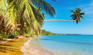 刚接触旅游注意哪些东西 第一次出行旅游要注意些什么