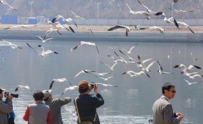 大连好玩的地方排行榜 推荐大连游玩必去的十个旅游景点