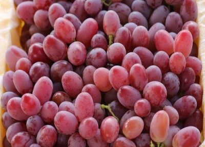 葡萄可以冷冻保存到冬天吃吗 冷冻葡萄能保存多长时间