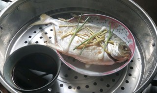 怎么清理金鲳鱼又快又干净 金鲳鱼处理小技巧