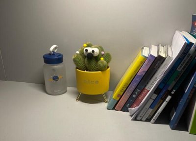 多肉夏天没浇水怎么黑腐了 夏天怎么养多肉远离烂根黑腐