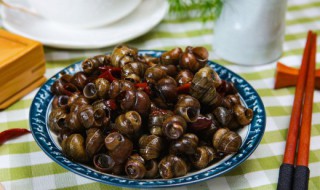 田螺放什么吐的快 田螺怎么吐泥沙最快最干净