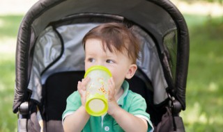 孩子喝水的水杯多久换一次塑料 孩子喝水的水杯更换的时间