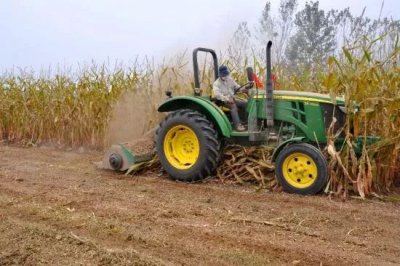秸秆还田的方法和技术要点 玉米秸秆直接还田意义及方式