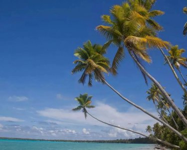 爱人者人恒爱之什么意思 爱是一种活动的情感