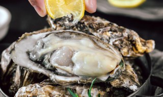 牡蛎的清洗方法 牡蛎如何清洗
