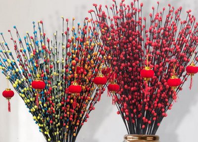 银柳养几根最吉利 家里适合摆放红色干支银柳吗