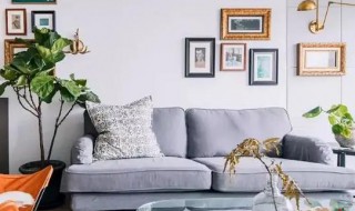 客厅摆放什么物件好看 客厅摆件放哪些好看呢