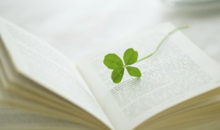 12月文案正能量 12月正能量励志的文案推荐