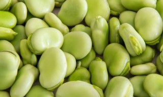 新鲜嫩蚕豆怎么煮好吃 蚕豆如何煮好吃