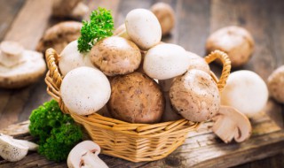 蘑菇要焯水吗 蘑菇需要焯水再烹煮吗
