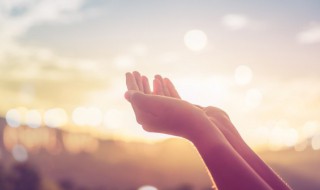 有关感恩的话语 关于感恩的话语推荐