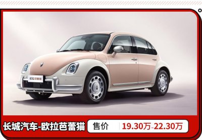 欧拉朋克猫什么时候上市 朋克猫预计上市开售时间