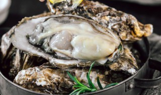 吃生蚝的好处和坏处 吃生蚝有哪些好处和坏处